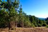 44761 Baywood Dr photo